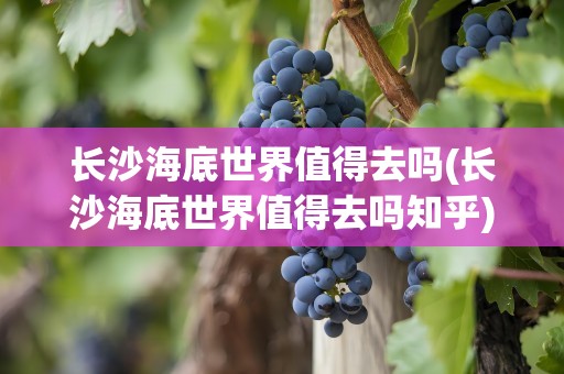长沙海底世界值得去吗(长沙海底世界值得去吗知乎)