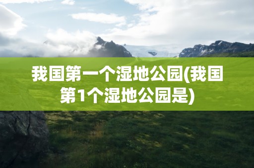 我国第一个湿地公园(我国第1个湿地公园是)