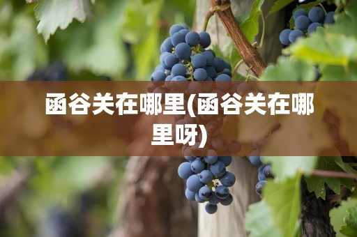函谷关在哪里(函谷关在哪里呀)