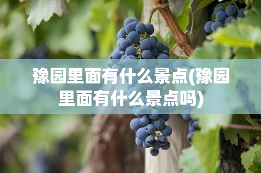 豫园里面有什么景点(豫园里面有什么景点吗)
