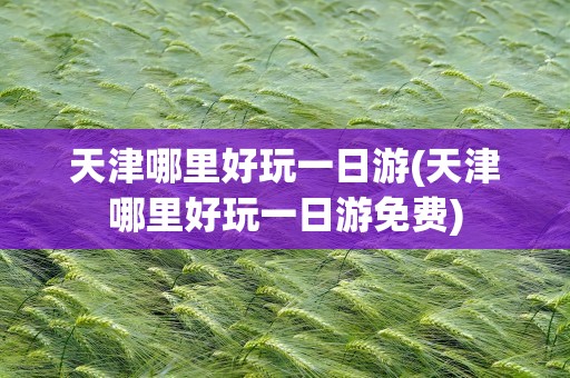 天津哪里好玩一日游(天津哪里好玩一日游免费)