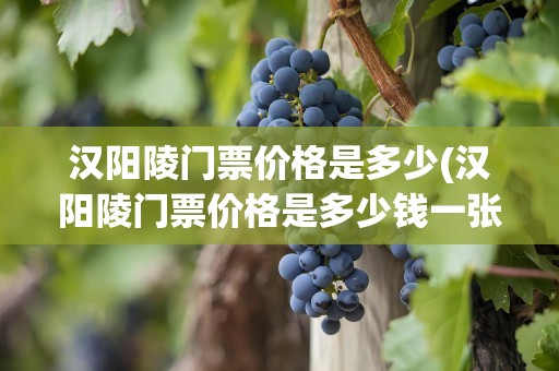 汉阳陵门票价格是多少(汉阳陵门票价格是多少钱一张)