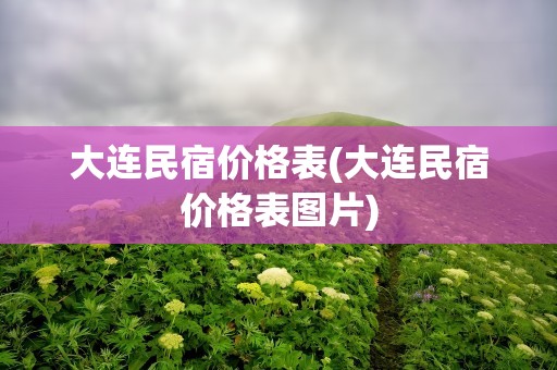 大连民宿价格表(大连民宿价格表图片)