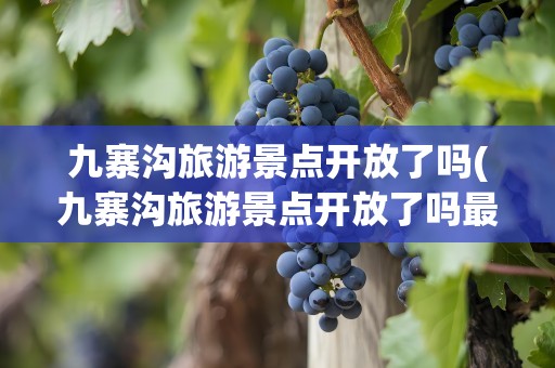 九寨沟旅游景点开放了吗(九寨沟旅游景点开放了吗最新)