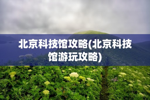 北京科技馆攻略(北京科技馆游玩攻略)