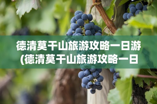 德清莫干山旅游攻略一日游(德清莫干山旅游攻略一日游路线)