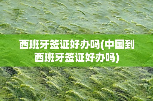 西班牙签证好办吗(中国到西班牙签证好办吗)