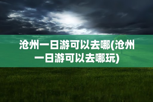 沧州一日游可以去哪(沧州一日游可以去哪玩)