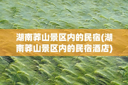 湖南莽山景区内的民宿(湖南莽山景区内的民宿酒店)