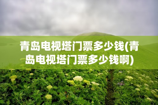 青岛电视塔门票多少钱(青岛电视塔门票多少钱啊)