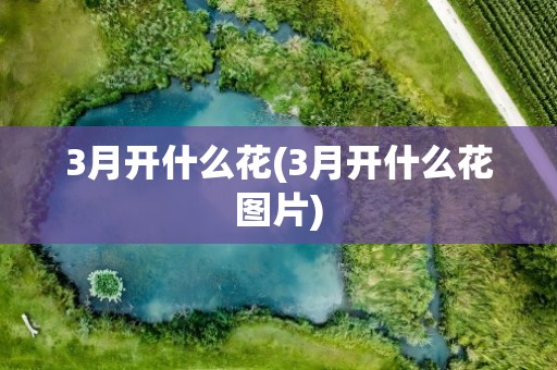 3月开什么花(3月开什么花图片)