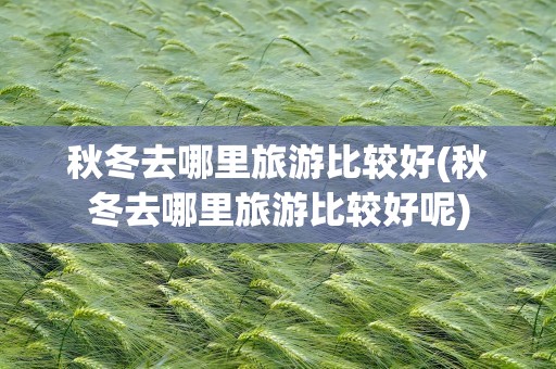 秋冬去哪里旅游比较好(秋冬去哪里旅游比较好呢)
