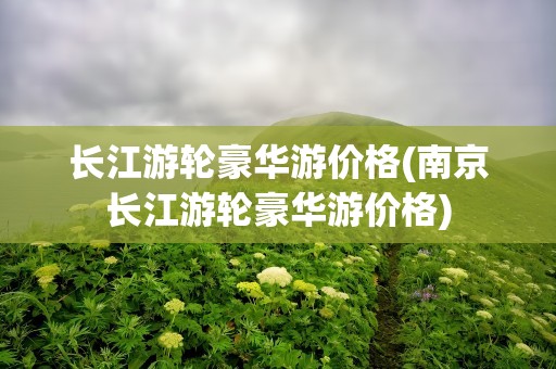 长江游轮豪华游价格(南京长江游轮豪华游价格)