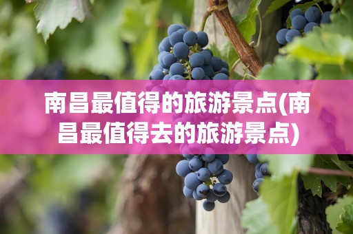 南昌最值得的旅游景点(南昌最值得去的旅游景点)