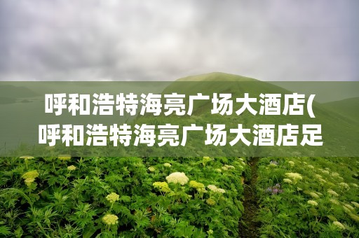 呼和浩特海亮广场大酒店(呼和浩特海亮广场大酒店足疗)