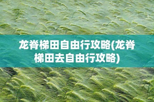 龙脊梯田自由行攻略(龙脊梯田去自由行攻略)