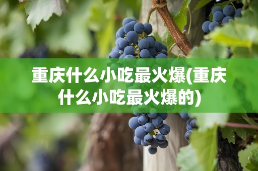重庆什么小吃最火爆(重庆什么小吃最火爆的)