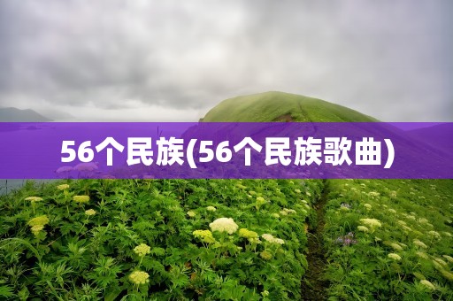 56个民族(56个民族歌曲)