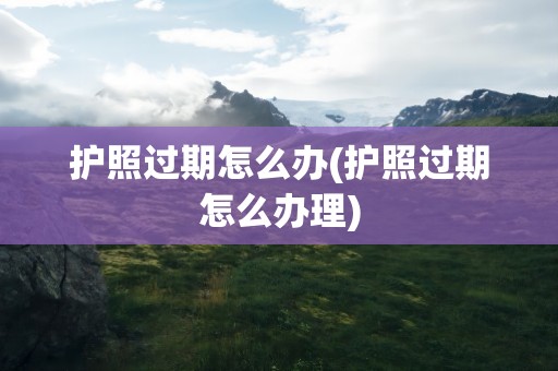 护照过期怎么办(护照过期怎么办理)