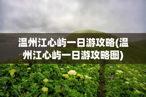 温州江心屿一日游攻略(温州江心屿一日游攻略图)