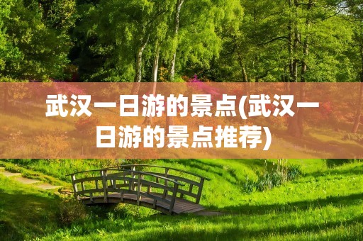 武汉一日游的景点(武汉一日游的景点推荐)