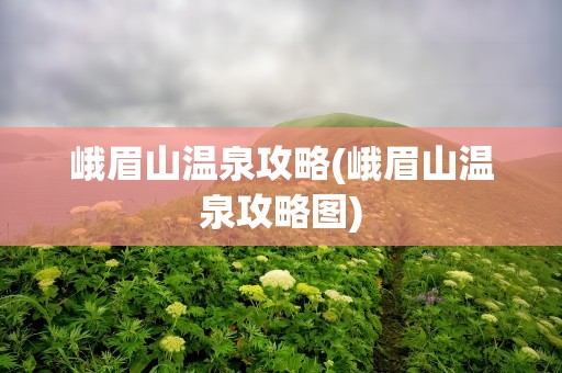 峨眉山温泉攻略(峨眉山温泉攻略图)