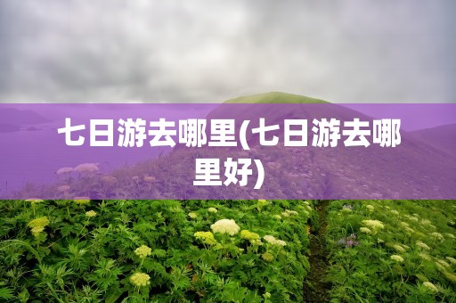 七日游去哪里(七日游去哪里好)