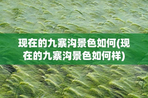 现在的九寨沟景色如何(现在的九寨沟景色如何样)