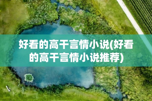好看的高干言情小说(好看的高干言情小说推荐)
