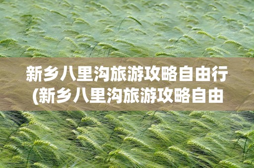 新乡八里沟旅游攻略自由行(新乡八里沟旅游攻略自由行路线)