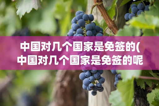 中国对几个国家是免签的(中国对几个国家是免签的呢)