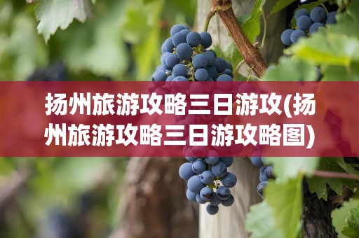 扬州旅游攻略三日游攻(扬州旅游攻略三日游攻略图)