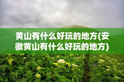 黄山有什么好玩的地方(安徽黄山有什么好玩的地方)