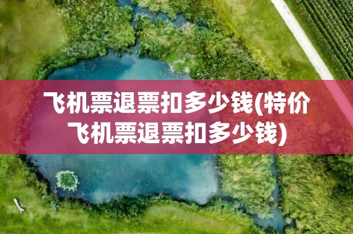 飞机票退票扣多少钱(特价飞机票退票扣多少钱)