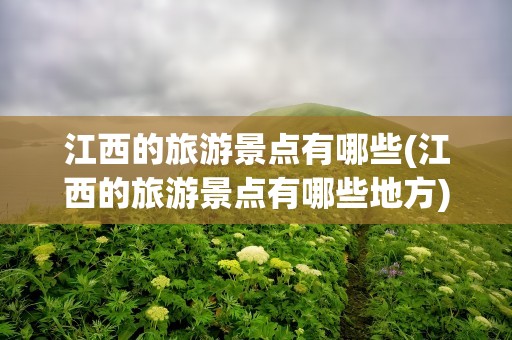 江西的旅游景点有哪些(江西的旅游景点有哪些地方)