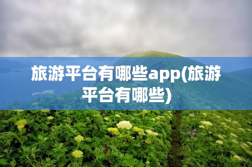 旅游平台有哪些app(旅游平台有哪些)