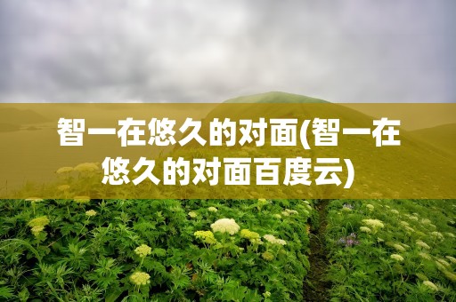 智一在悠久的对面(智一在悠久的对面百度云)