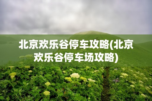 北京欢乐谷停车攻略(北京欢乐谷停车场攻略)