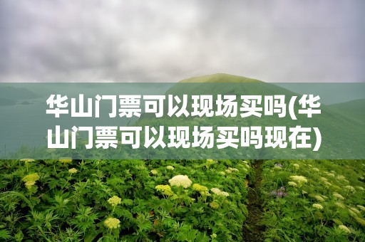 华山门票可以现场买吗(华山门票可以现场买吗现在)