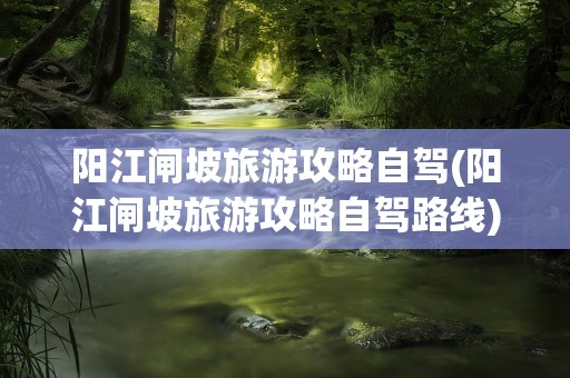 阳江闸坡旅游攻略自驾(阳江闸坡旅游攻略自驾路线)