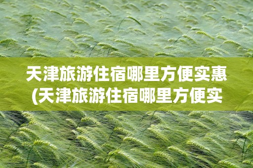 天津旅游住宿哪里方便实惠(天津旅游住宿哪里方便实惠点)