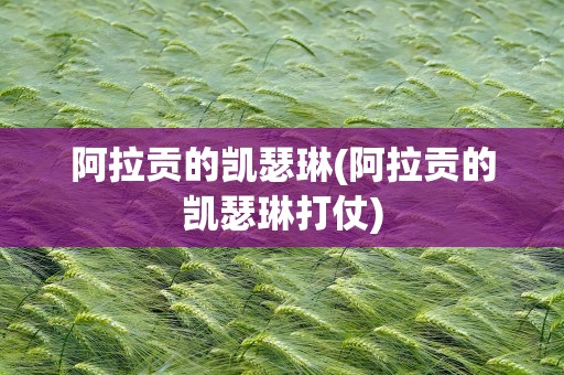 阿拉贡的凯瑟琳(阿拉贡的凯瑟琳打仗)
