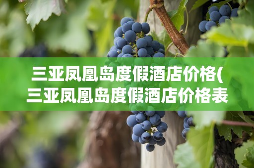 三亚凤凰岛度假酒店价格(三亚凤凰岛度假酒店价格表)