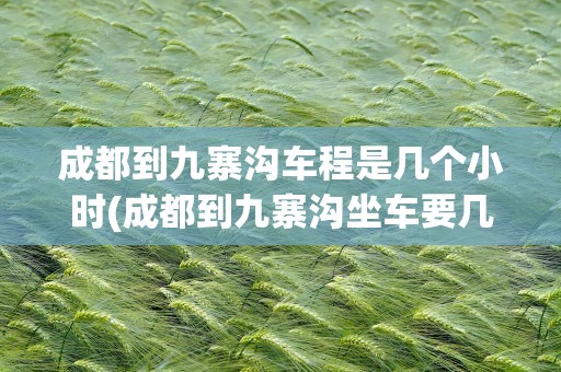 成都到九寨沟车程是几个小时(成都到九寨沟坐车要几个小时)