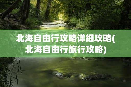 北海自由行攻略详细攻略(北海自由行旅行攻略)