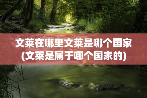 文莱在哪里文莱是哪个国家(文莱是属于哪个国家的)