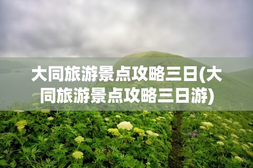 大同旅游景点攻略三日(大同旅游景点攻略三日游)