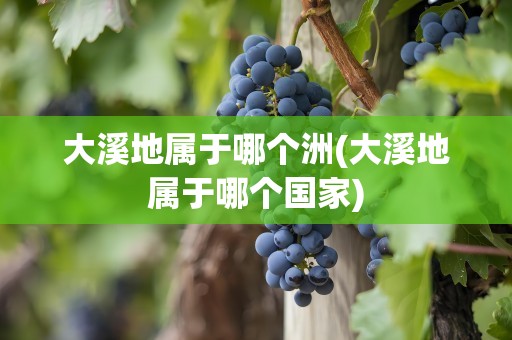 大溪地属于哪个洲(大溪地属于哪个国家)