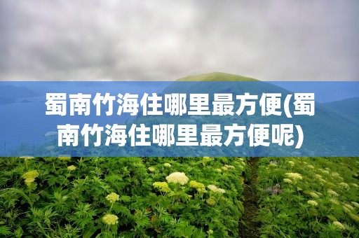 蜀南竹海住哪里最方便(蜀南竹海住哪里最方便呢)