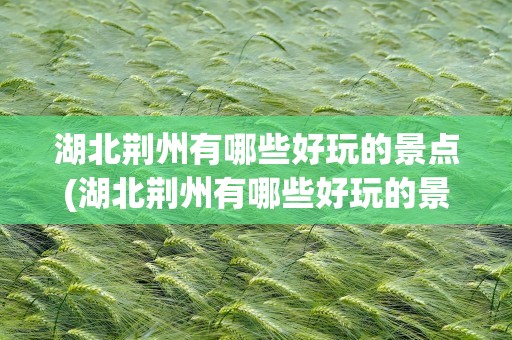 湖北荆州有哪些好玩的景点(湖北荆州有哪些好玩的景点推荐)